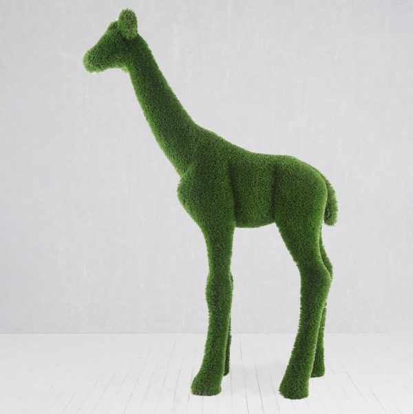baby giraffe topiary
